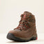 Ariat skyline summit waterproof boot for men