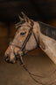 HFI pro bridle Milano - HorseworldEU