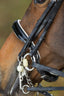 HFI weymouth bridle - HorseworldEU