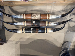 Grote stierenhoorns van 90-120 cm