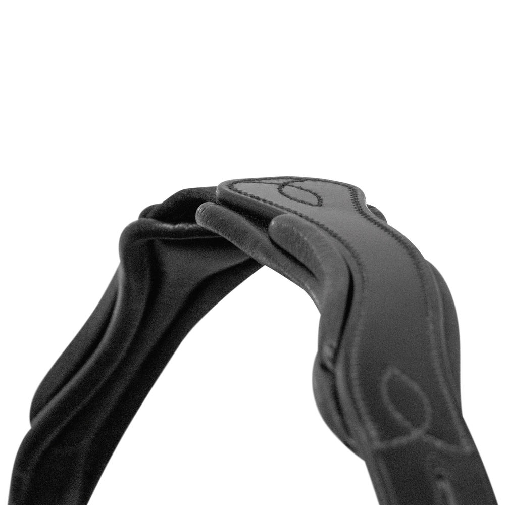 Passier fantastic snaffle bridle