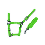 Pool's nylon halter CA00027K