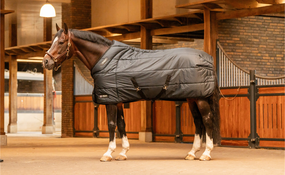 Trust equestrian tetris stable rug 200 gram