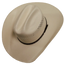 American hat makers Lasso | Chapeau de cowboy en paille pour homme