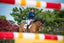 Cavalor arti repair - HorseworldEU