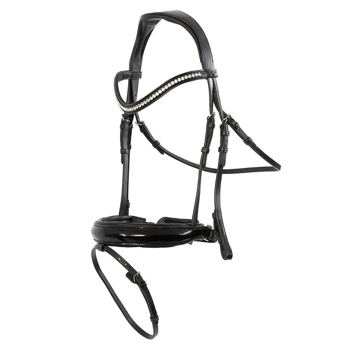 Trust Basel bridle