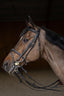 HFI double jump bridle - HorseworldEU