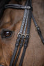 HFI double jump bridle - HorseworldEU