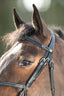 HFI Mexican bridle - HorseworldEU