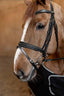 HFI padded bridle - HorseworldEU