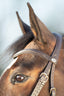 HFI soft bridle - HorseworldEU