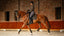 LeMieux adour dressage square - HorseworldEU