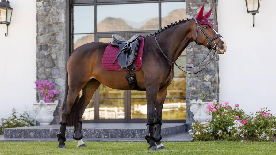 LeMieux cotton dressage saddle pad - HorseworldEU