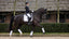 LeMieux crystal suede dressage square - HorseworldEU