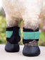 LeMieux toy pony grafter boots - HorseworldEU